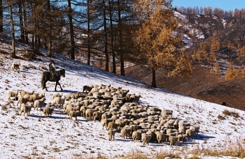 Осенние заботы