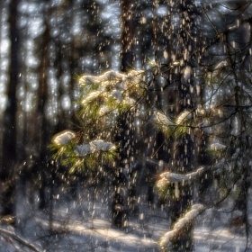 Сыплются льдинки. Снега белая занавесь В мелких узорах. ( Мацуо Басё ).(монокль) автора fotososunov1955