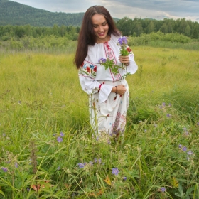 полевые цветы автора chervyakov