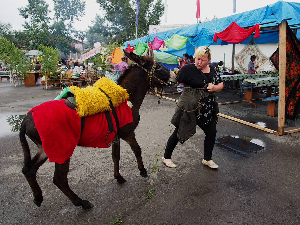 Подворье в районе (серия)