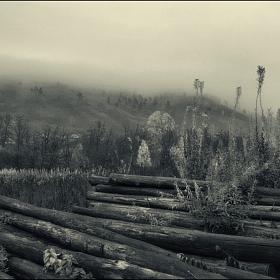 Хмурое утро автора fotososunov1955