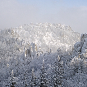 Хребет земли