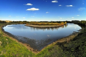  Семьдесят лучших фотографий будут представлены на выставке «Природа и мы»