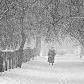 Снежный март автора Shityakova_NS