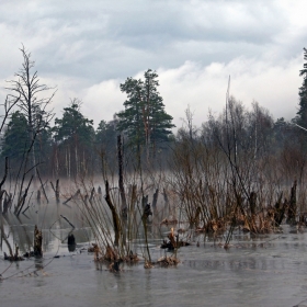 "Большая вода " автора chelyapindi