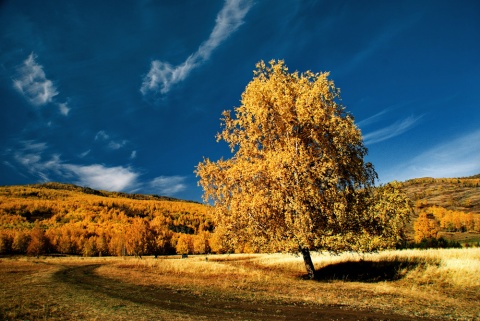 Осень золотая автора giviryak