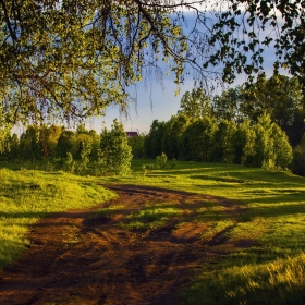 Тихие вечера. автора borovikovayu