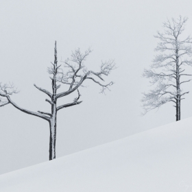 Зимний минимализм автора Getsevphoto