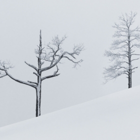 Зимний минимализм автора Getsevphoto