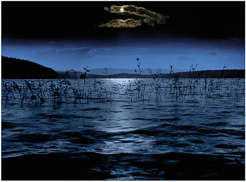 Лунное сияние. автора Glebov