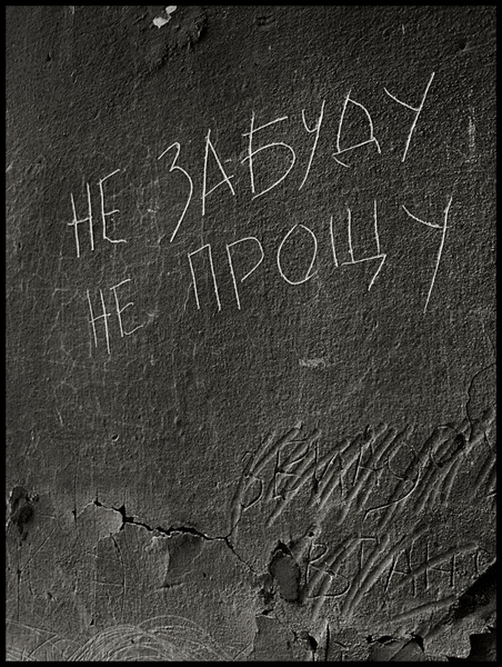 Серия "Цхинвал, 2008. 60 дней спустя...Расстрелянный город". Алексей Гольянов. Челябинск