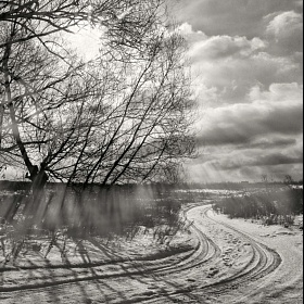 зима автора fotososunov1955