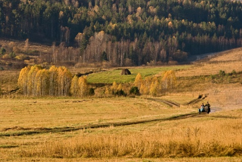 Осеннее сафари автора giviryak