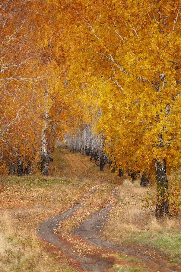 Осенняя живопись
