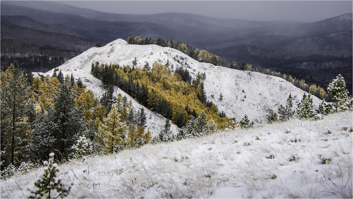 Поздняя осень (серия)