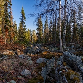 В гости к лешим да кикиморам автора D_Romodin