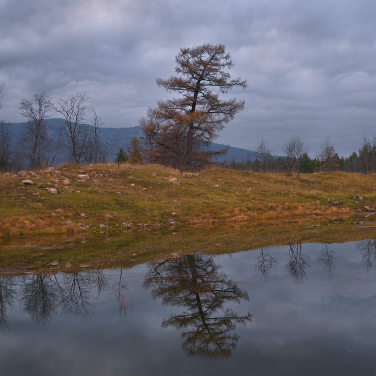 Одинокая осень