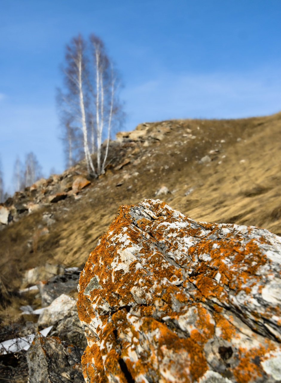 Весной камни тоже расцветают (серия)