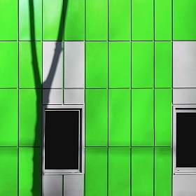Зеленая стена