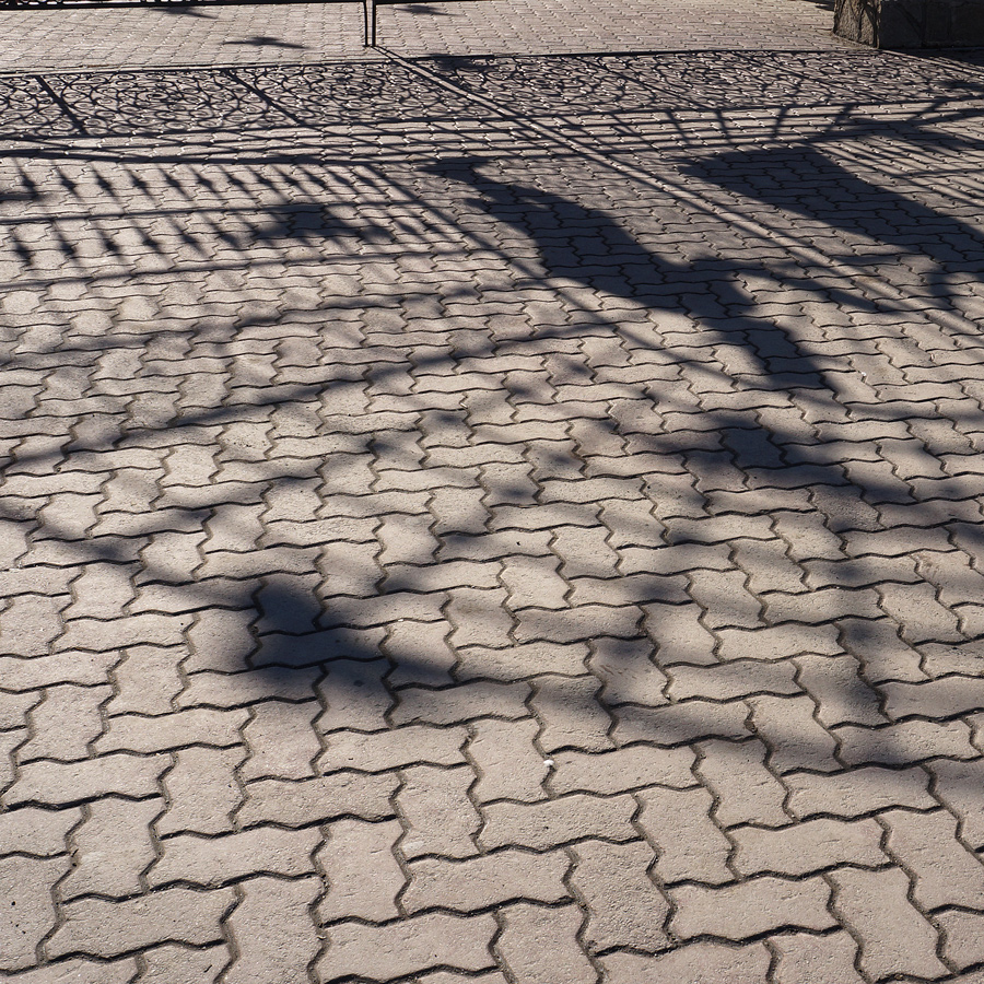 и птичка вылетает...