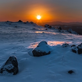 Зимнего солнца негреющий свет... автора Шурка