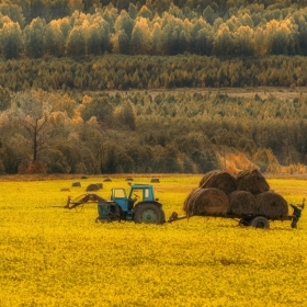 В осеннем золоте