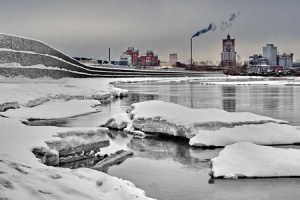  Фотовыставка «Природа и мы» будет показана в кинотеатре «Знамя»