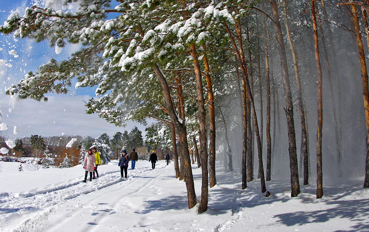 Снежность (серия)