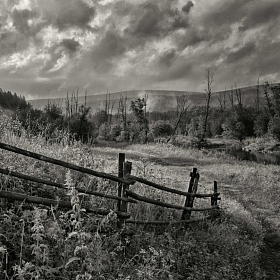 Утренний пейзаж с правильным забором автора fotososunov1955