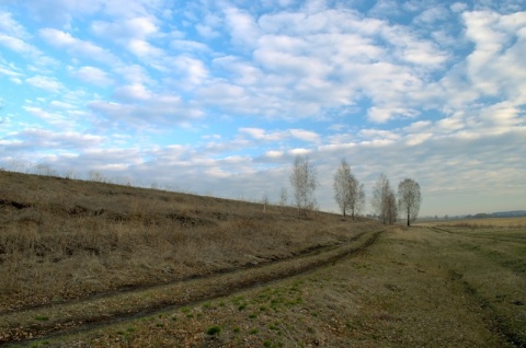 дорога в лето