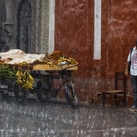В Гаване идут дожди автора Usmanov