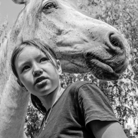 Я люблю свою лошадку автора matsyna