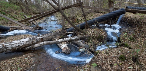 Ядовитые отходы реки Миасс автора kolyaskin