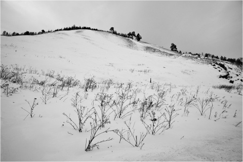 Зима. Пейзаж с холмом автора energy
