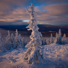 В заснеженном краю.