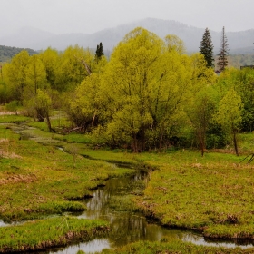 Пейзаж на окраине села автора giviryak