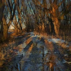 Вечерний свет, апрель автора fotososunov1955
