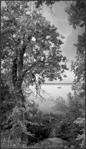 Рыбаки на озере сквозь листву. автора 