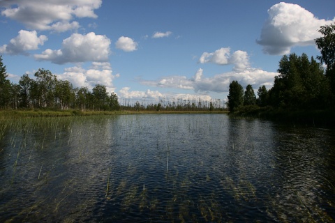 река Охта  Карелия