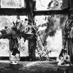 «У окна» автора fotososunov1955