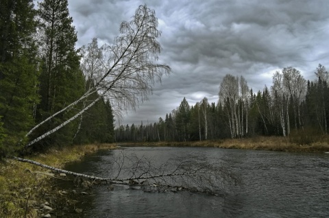 Вода осени автора sharikov