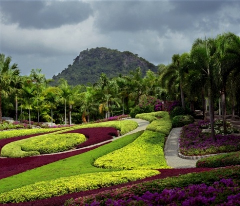 Парк Орхидей. Тайланд. автора bogdanovskiy