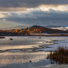 Осень, замерзающее озеро, лебеди. автора moskvin