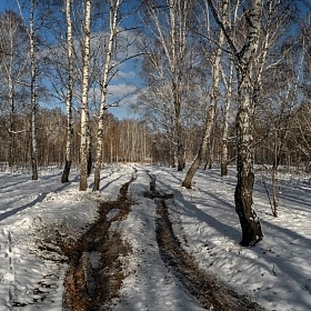 Зимний пейзаж (по мотивам произведений И. Грабаря) автора fotososunov1955