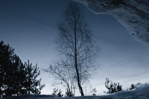 Зима глядит из осенней лужи автора Aleksandr_Shulman