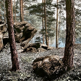 В заповедной глуши. Камни.