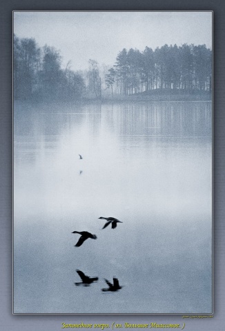 Тихое утро на заповедном озере автора arkanov