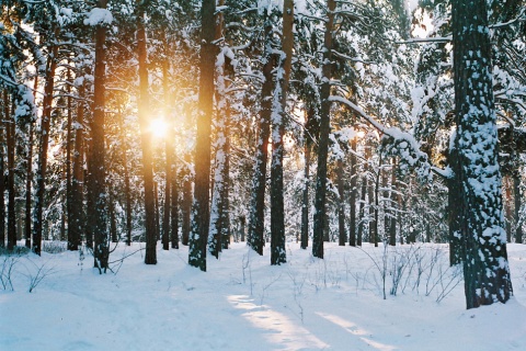 Зимний пейзаж автора Eduard