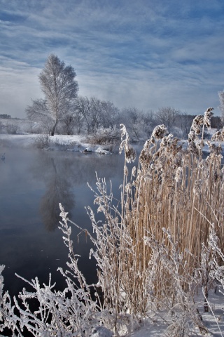 У речки автора shesterikov