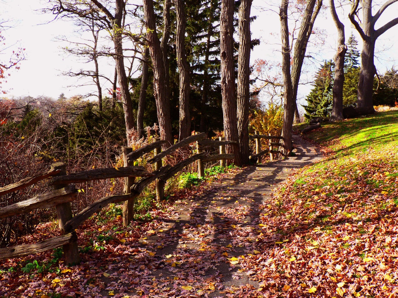 Листопад (серия)